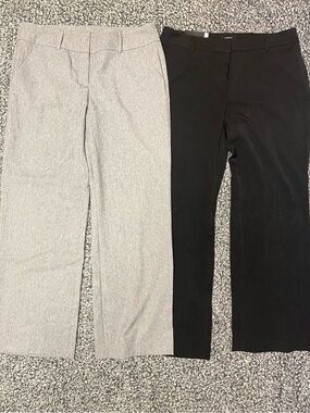 Women’s Apt. 9 Black and Light Gray Dress Pants